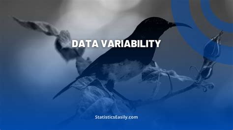 Image result for Measure of Data Variability