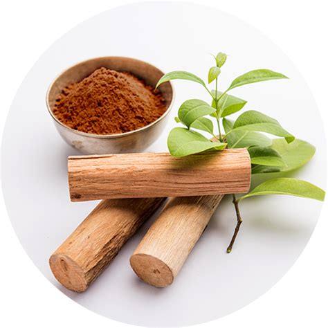 Kumkumadi Night Cream with Padma for Skin Brightening - 50gm – Sesa Care