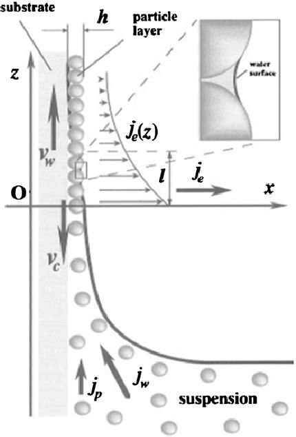 How Withdrawal Method 的图像结果