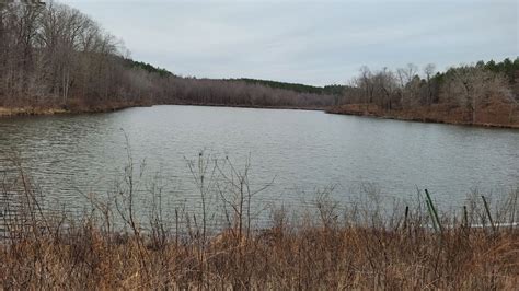 National Forests in MS – Visit Mississippi