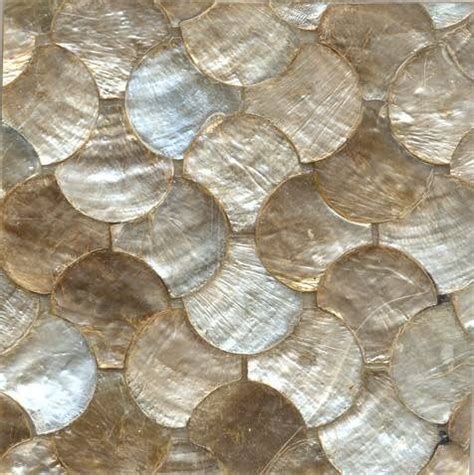 Image result for Capiz Shell Drawing