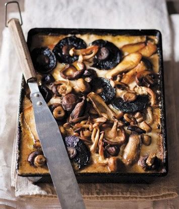 Sampioen lasagne   rooi rose