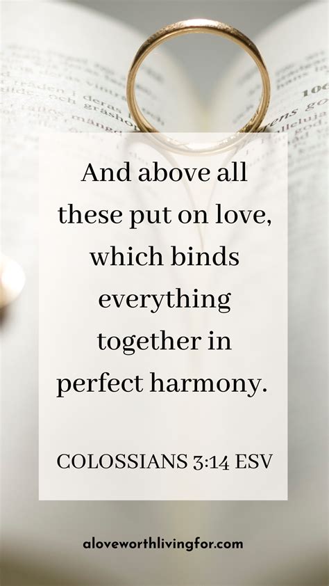 Love Bible Verses For Couples 28 Inspirational Bible Verses About Love