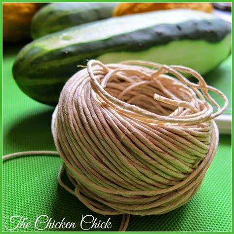 Image result for Chick Using Cucumber