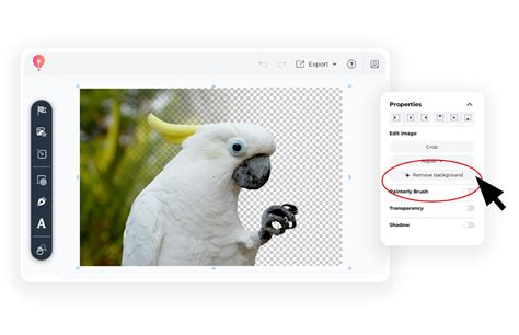 Image result for Remove Background in Corel