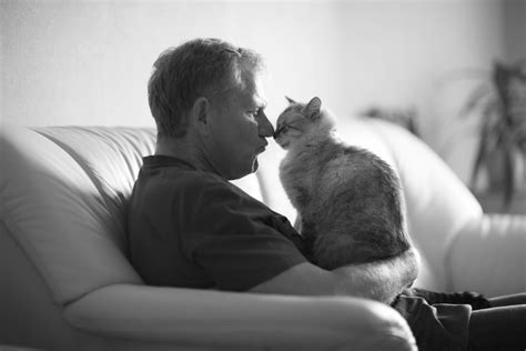Understanding Cat Lifespans: How Long Do Cats Live? - TICA - The International Cat Association