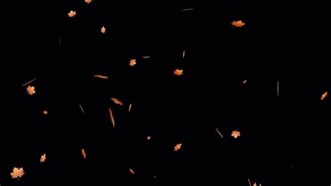 Image result for Fall Background Video Loop