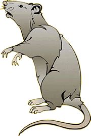 Image result for Rat Dance Note Block