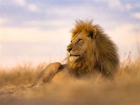 Alpha Classroom | Course: Macro Photography