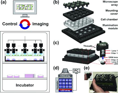 Mam Tutorials 的图像结果