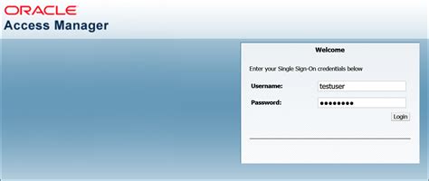 OAM Oracle 的图像结果