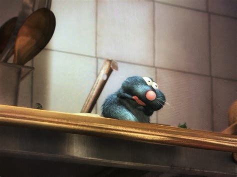 The Fascinating Facts and Fallacies of Rats in Ratatouille: Part 1