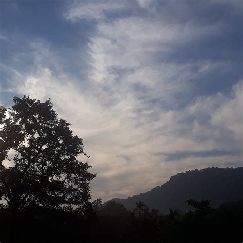 BAREKAL FARMSTAY (Shimoga, Karnataka) - Farmhouse Reviews, Photos, Rate ...