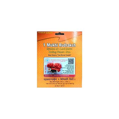 The Himalayan River Nepali 1 Mukhi India | Ubuy