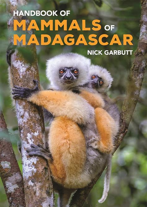 Madagascar Book 的图像结果