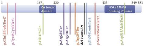 IJMS | Special Issue : The Genetic and Molecular Basis of Congenital ...