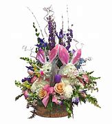 Image result for Bunnies Flowers Eden NC