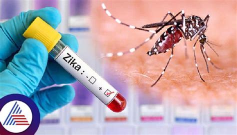 Maharashtra saw majority of Zika virus cases in India with 140 out of ...