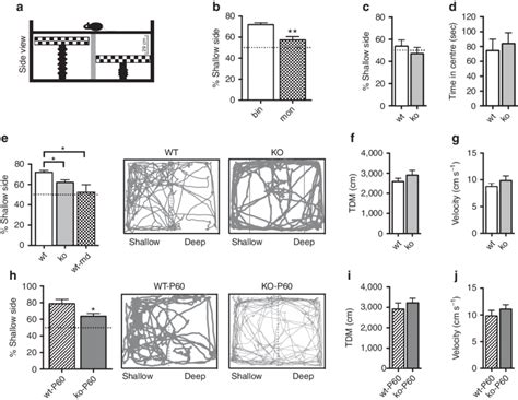 Image result for Impaired Depth Perception