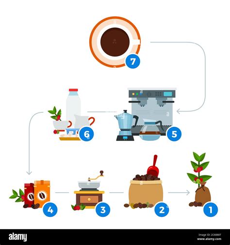 Process of Making Coffee 的图像结果