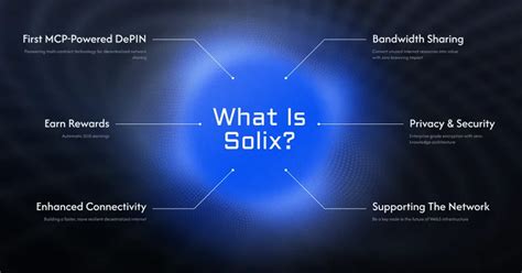 Image result for Using Solix 10