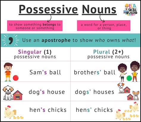 What Are Plural Possessive Nouns Examples - Free Worksheets Printable