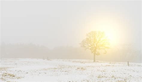 Images de Fond Ecran Hiver 4k Soleil – Téléchargement gratuit sur Freepik