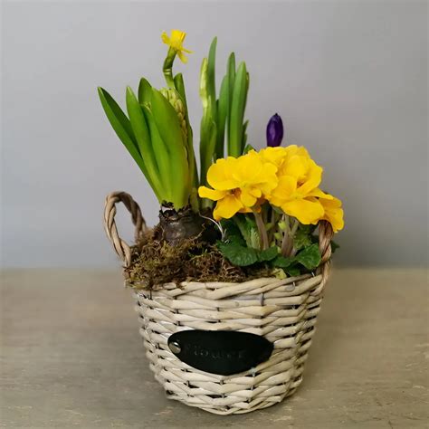 Image result for Spring Flower Baskets