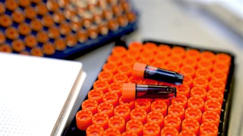 Image result for Compound Samples