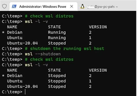 WSL Run PowerShell Command 的图像结果