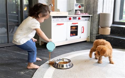 17-19 months – Curious Cub