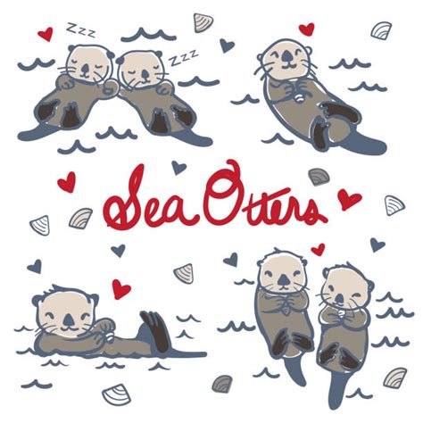 Top 60 Sea Otter Clip Art, Vector Graphics and Illustrations - iStock