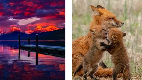 Image result for Using Mod Function for Formatting in Excel