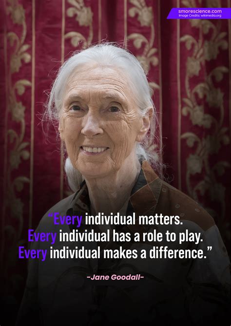 Quotes About Environment 的图像结果