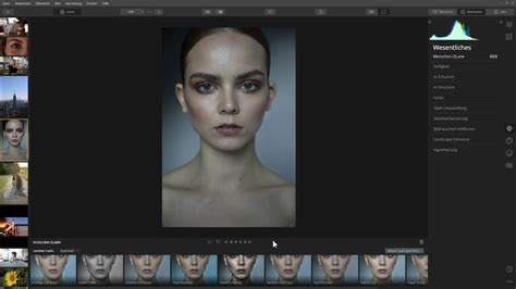 Image result for Luminar 4.2 Tutorials