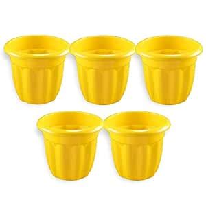 Kraft Seeds by 10club 6 Inch Wavy Collar Style Appealing Flower ...