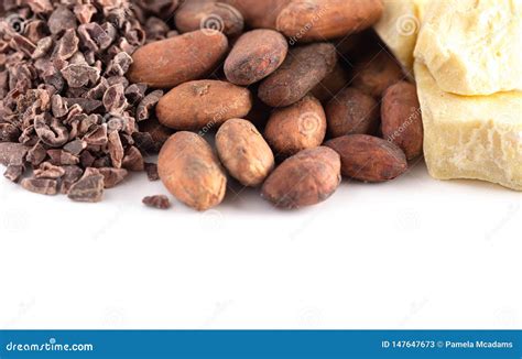Rows of Chocolate Nibs Cocoa Beans and Cocoa Butter on a White ...