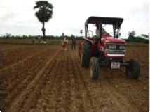 Crop Production :: Cereals :: Rice :: Dryseeded Rainfed- Suppl Irri