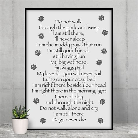 Loss of a Dog Poem: Heartfelt Words for Healing & Comfort