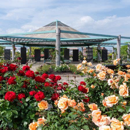 Image result for Nested for Loop Number Patterns