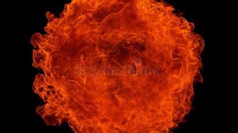 Exploding Tree Slow-Motion 的图像结果