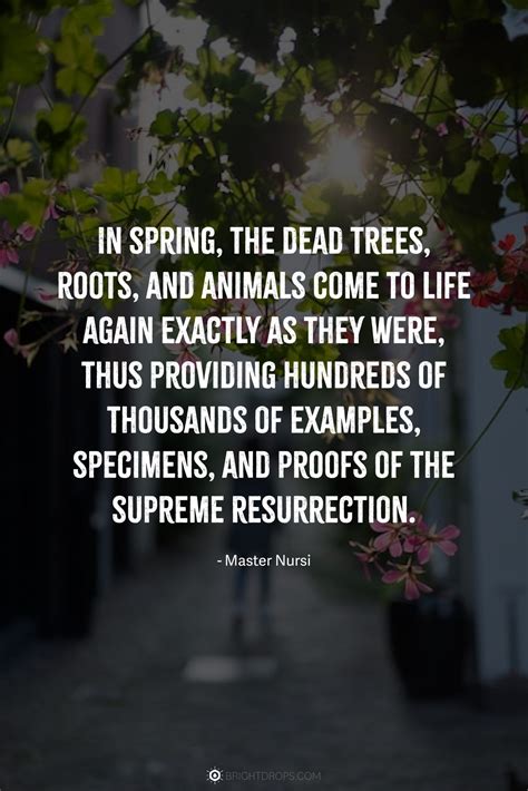 68 Quotes About Spring (With Beautiful Images) - Bright Drops