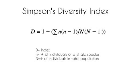 Image result for Computer Science Course Chart