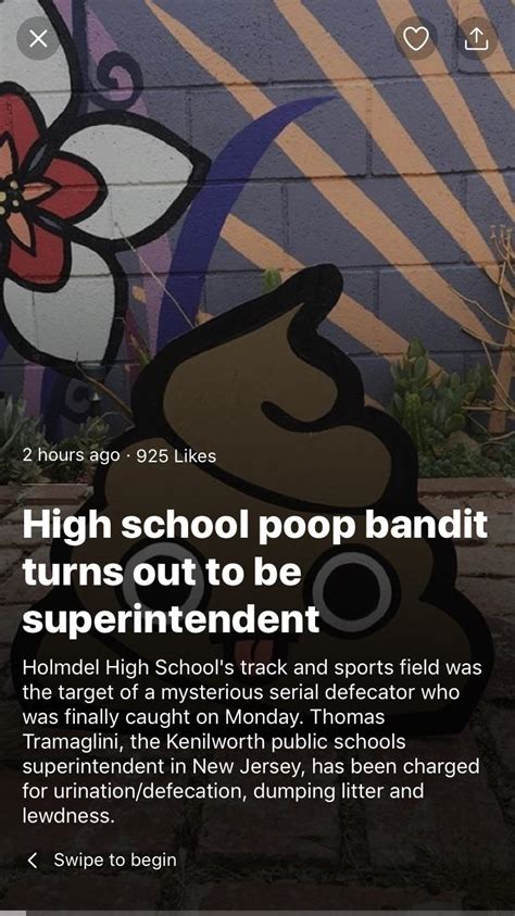 Image result for Poop Bandit