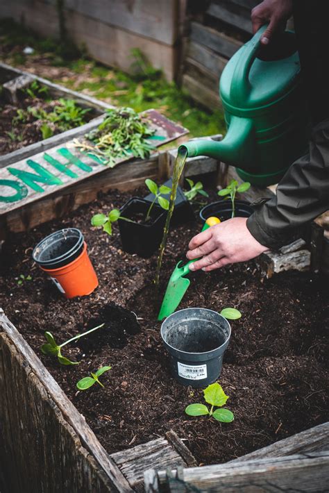 Does Fertilizer Go Bad? The Reality of Fertilizer Shelf Life — Meadowlark Journal