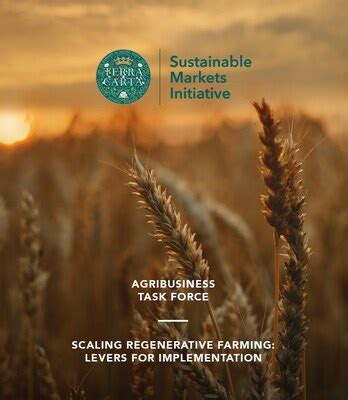 Sustainable Markets Initiative Agribusiness Task Force launches blended ...