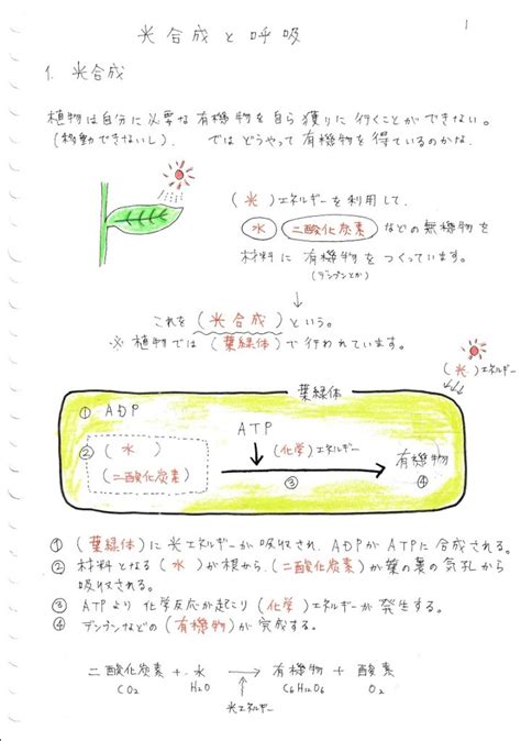 Learn OS Module Python From Beginning に対する画像結果