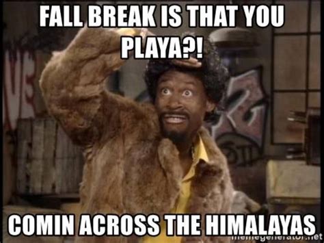 My account people are closeted creatives. They just sent me a 5 ...