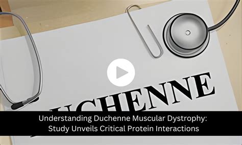Study Highlights Critical Protein Interactions In Duchenne Muscular ...
