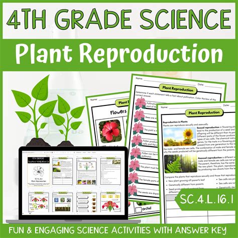 Plant Reproduction Activity & Answer Key 4th Grade Life Science - Classful